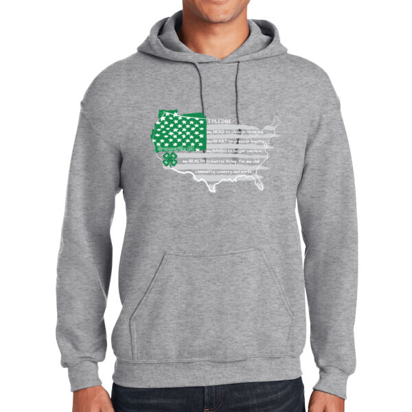 Adult USA Hoodie Thumbnail